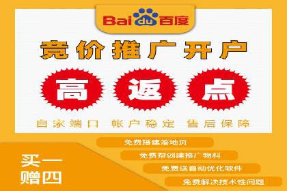 SEM代理案例：优化策略助力企业增长
